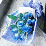 ǶʻԤ