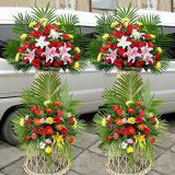 ǶʻԤ